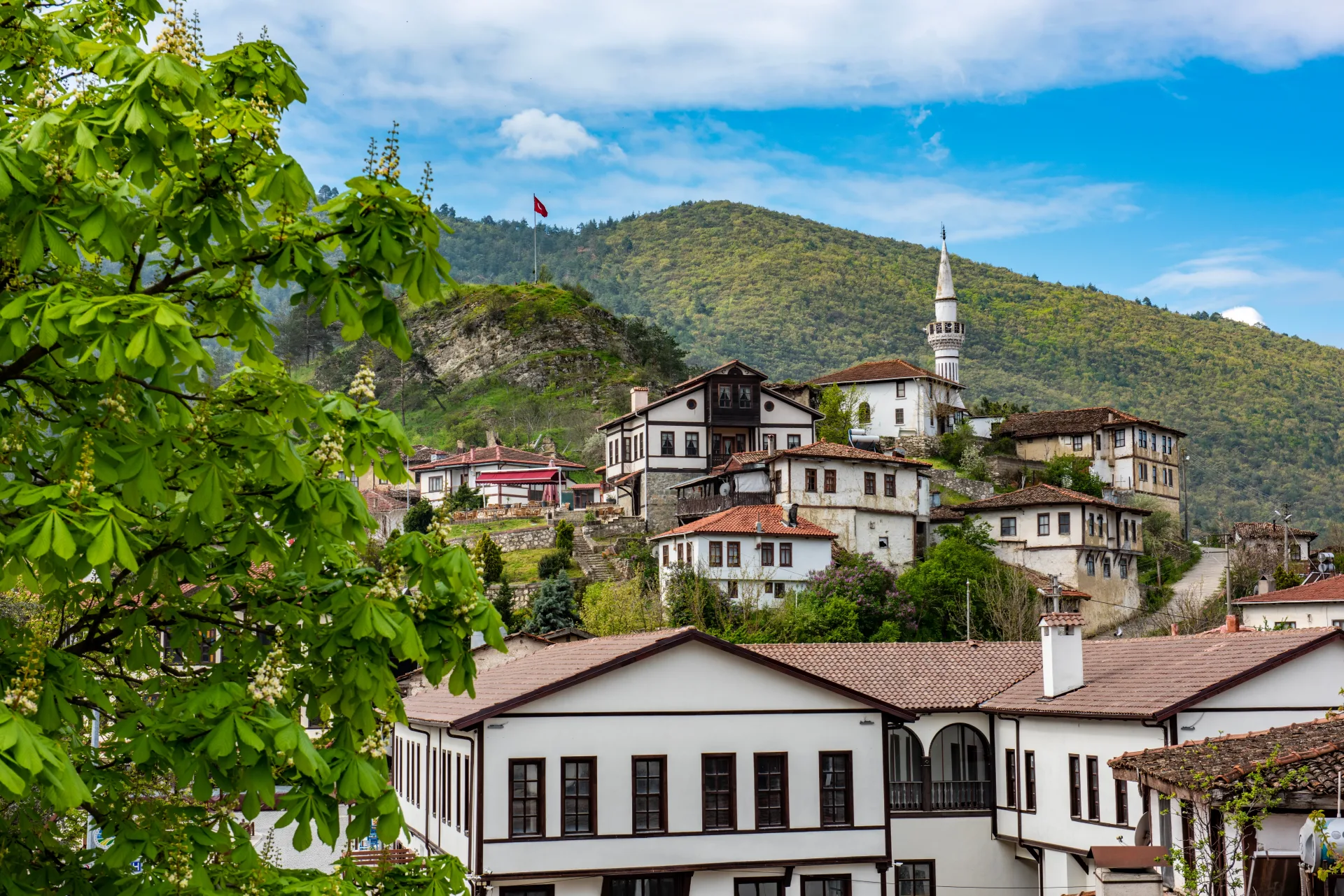 sakarya